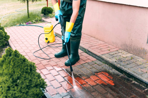 Best Building Exterior Washing  in Spring Valley, CA